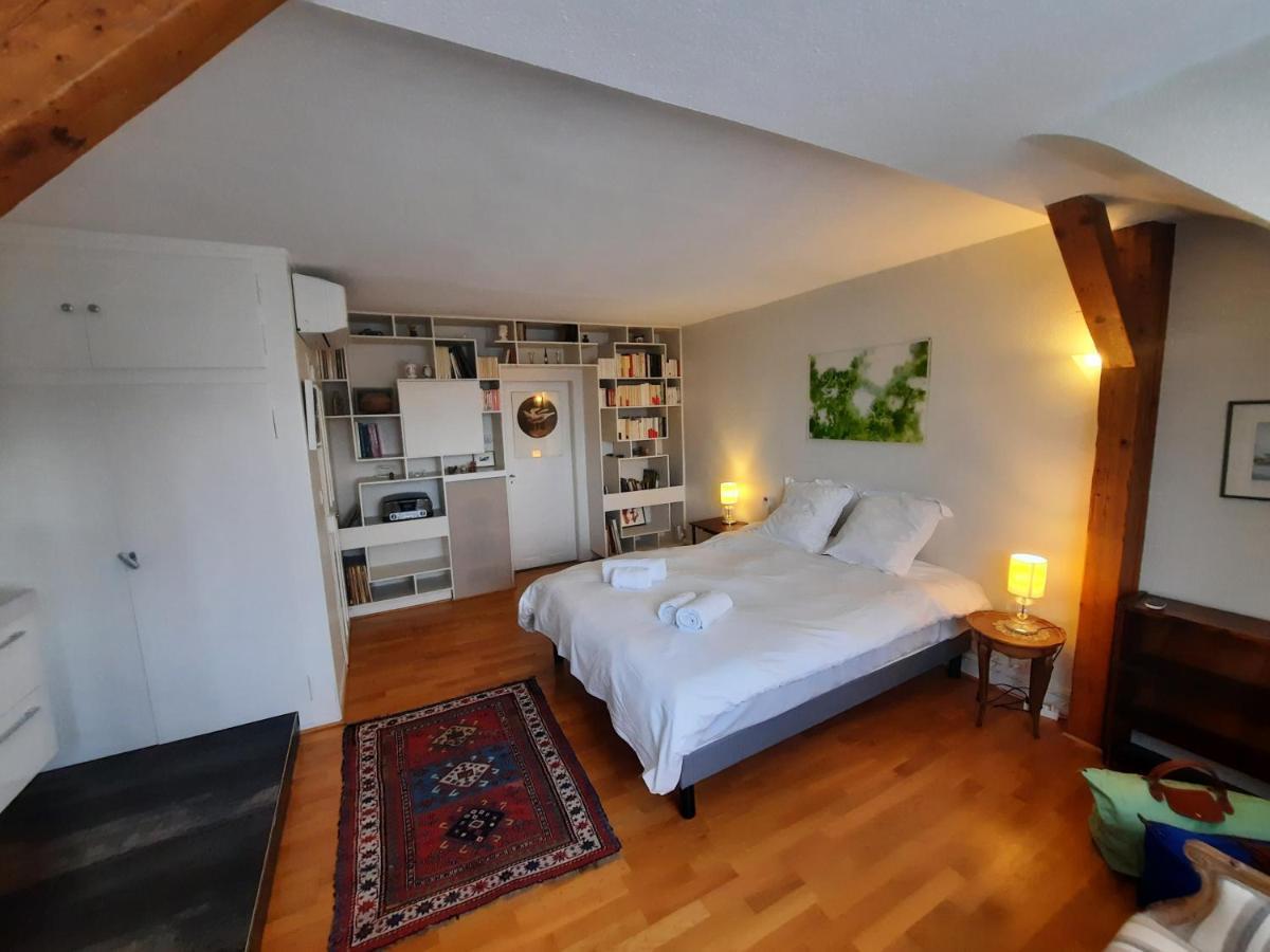 145M² City Center 4 Bedrooms View Of The Cathedral Strasbourg Exteriör bild